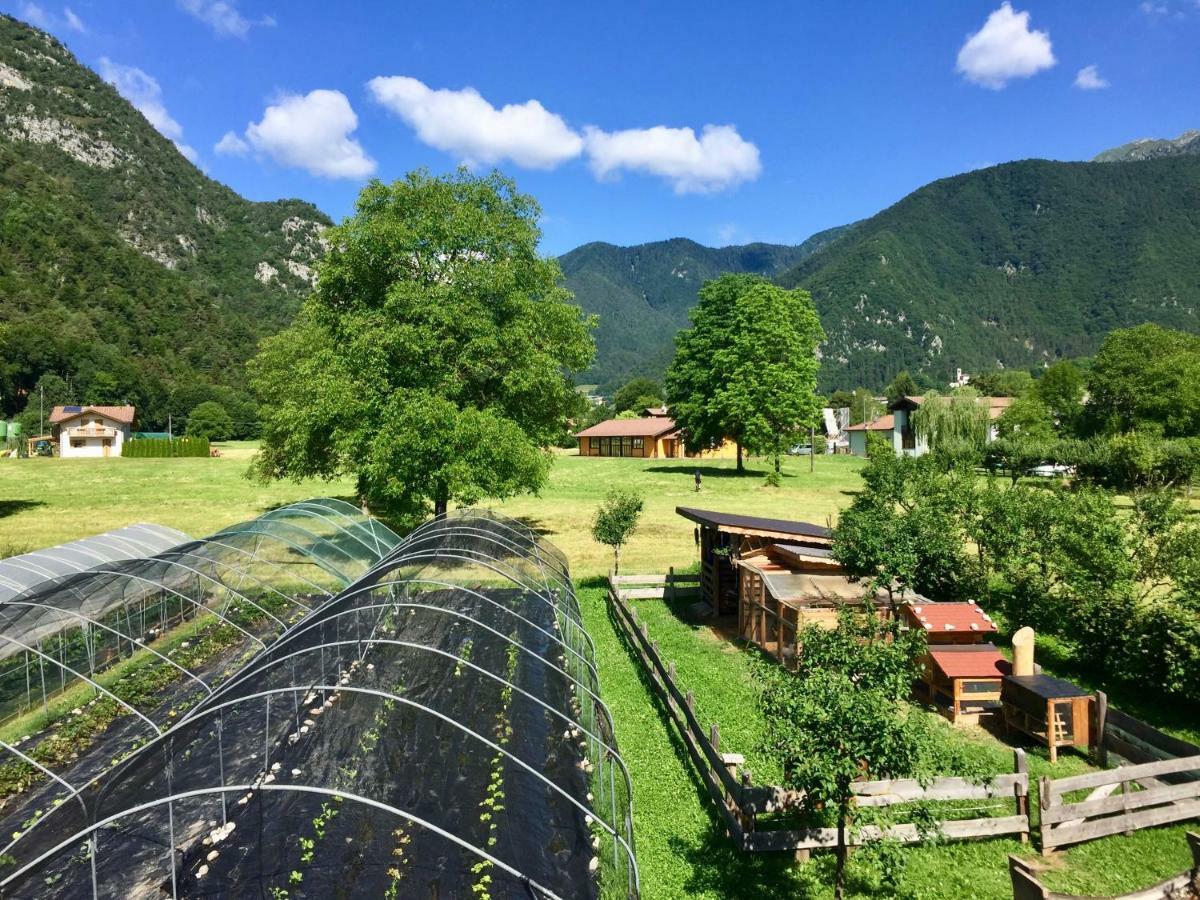 B&B Dalla Fattoria Della Patty Пьеве-ди-Ледро Экстерьер фото